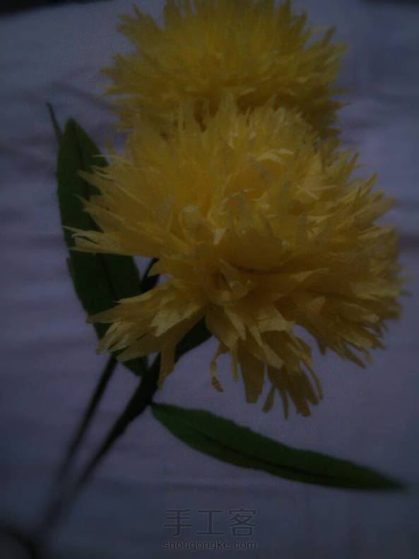 能看到自己能做出一朵朵漂亮的花来，真的很开心(∩_∩)