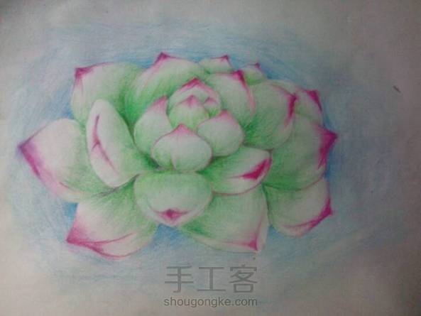 还不错吧! 第1张
