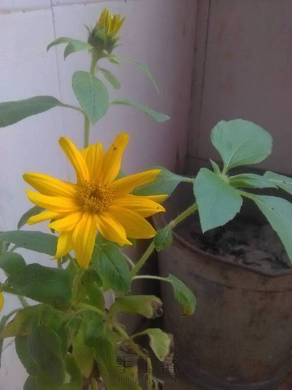 这样可以吗？´▽