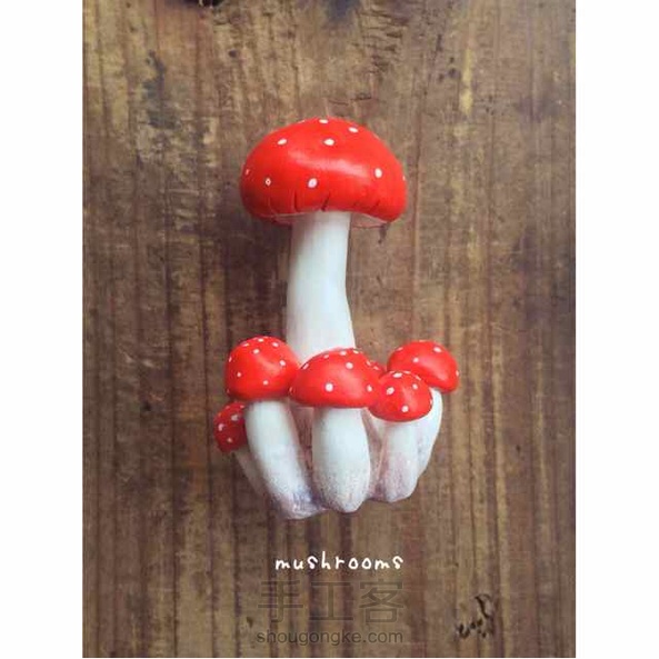 长蘑菇了！●﹏● 第1张