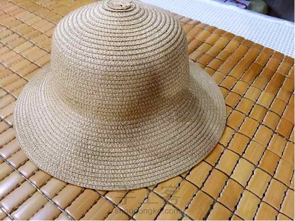 这朵花终于找到了组织，好感动！