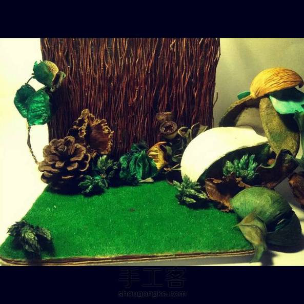 绿色家园 第2张