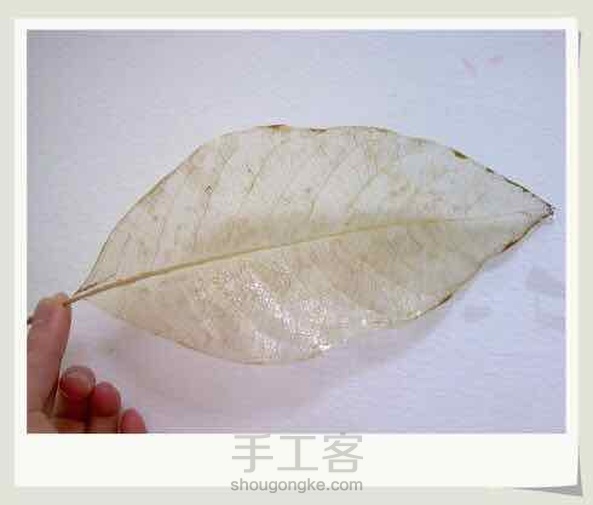 终于做好了 第1张