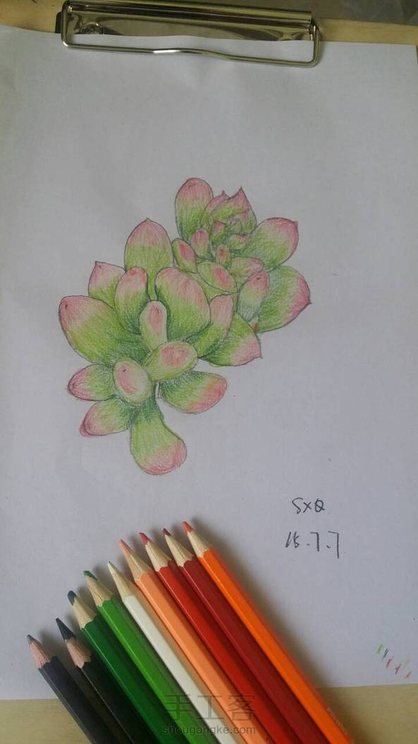 哈哈，第一次画多肉，多多指教😊