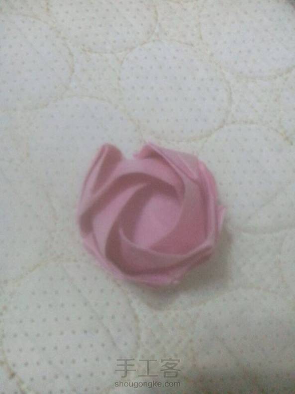 总算做出一个像样的川崎玫瑰了