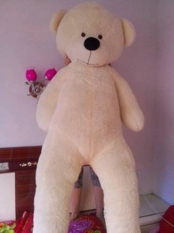 这是我家的大熊熊。 第1张