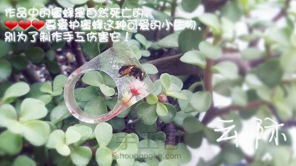 前几天在阳台发现蜜蜂尸体一枚。。。
于是。。。。
（要爱护蜜蜂这种可爱的小生物，不能为了制作手工伤害它！🐝） 第2张