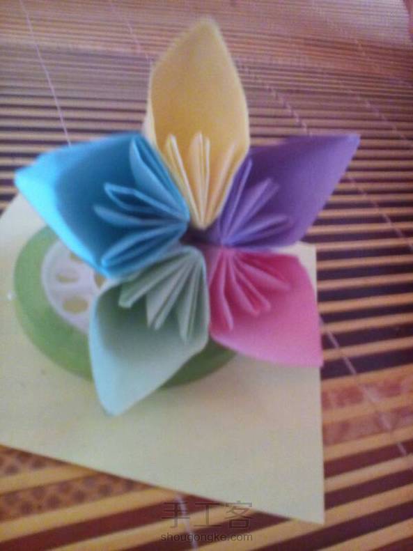 貌似这才是樱花，你的那个是水仙吧