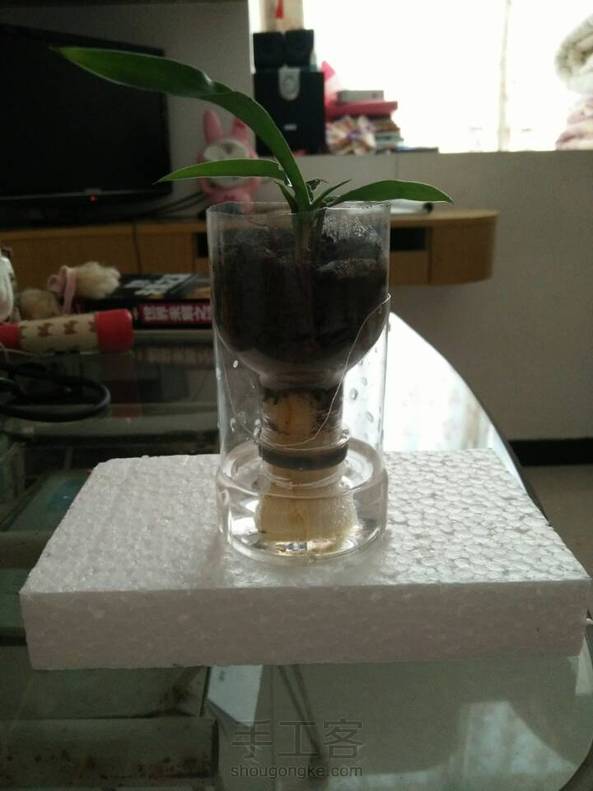 我的成品 第1张