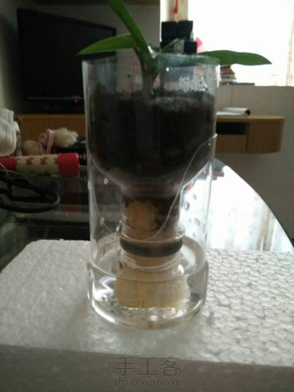 我的成品 第2张