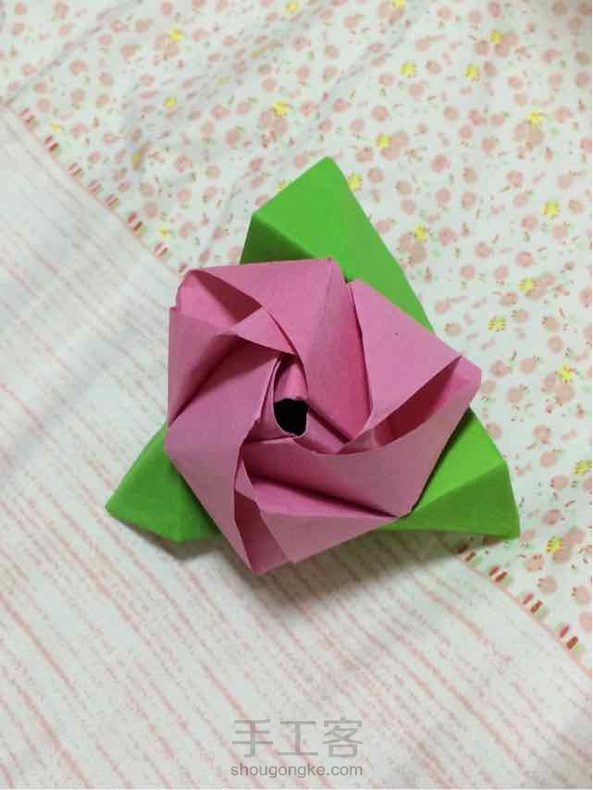 魔术玫瑰（精品）