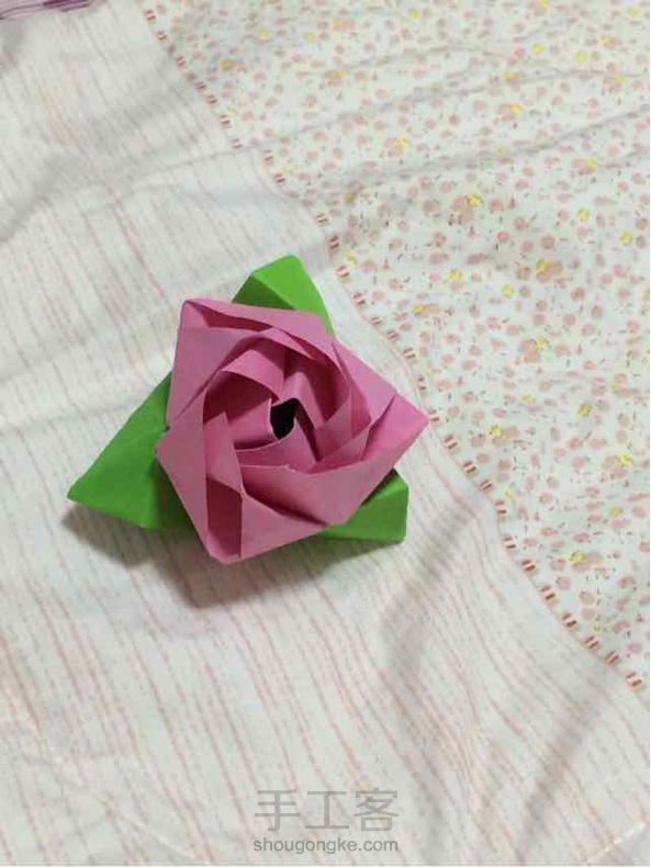 魔术玫瑰（精品） 第1张