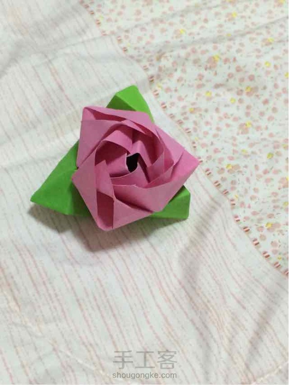 魔术玫瑰（精品） 第2张