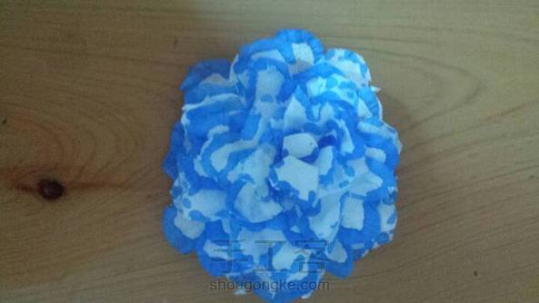 漂亮的花🌸🌸🌸 第1张