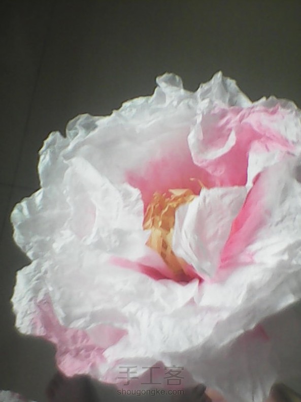 自己做的牡丹花