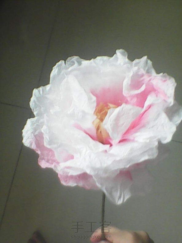自己做的牡丹花 第1张