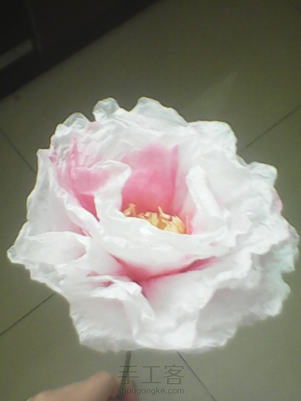 自己做的牡丹花 第2张