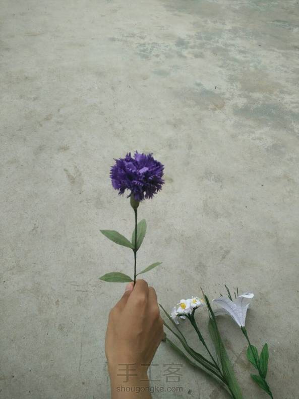 康乃馨和各种花花