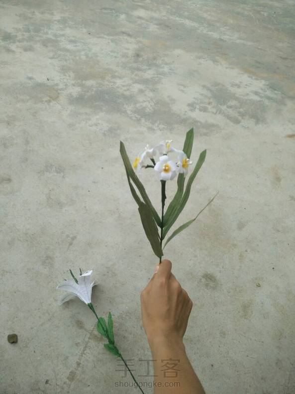 康乃馨和各种花花 第2张