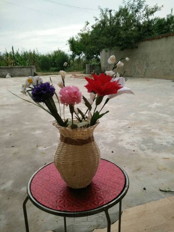 康乃馨和各种花花 第4张