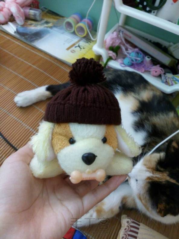 给喵的帽子=￣ω￣=