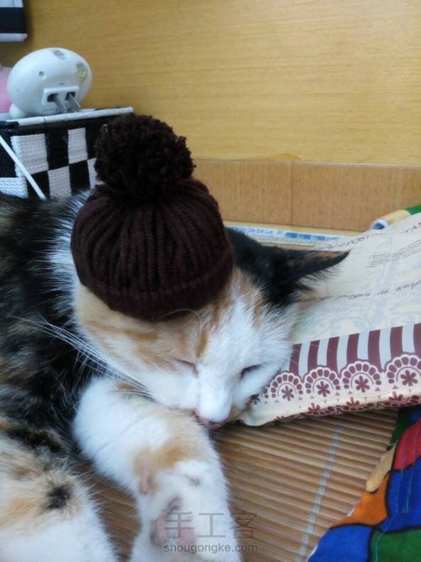 给喵的帽子=￣ω￣= 第1张