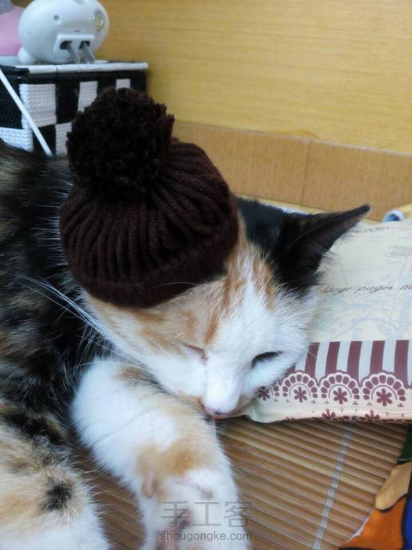 给喵的帽子=￣ω￣= 第2张