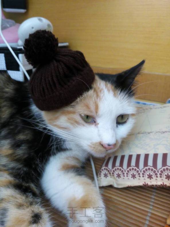 给喵的帽子=￣ω￣= 第3张