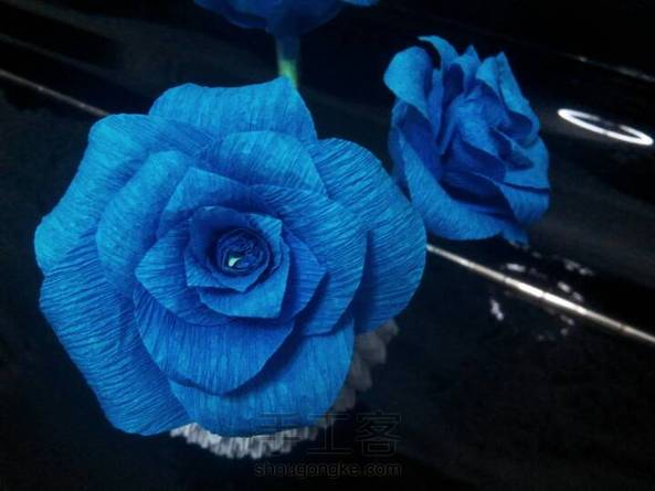 请无视花下白色的不明物