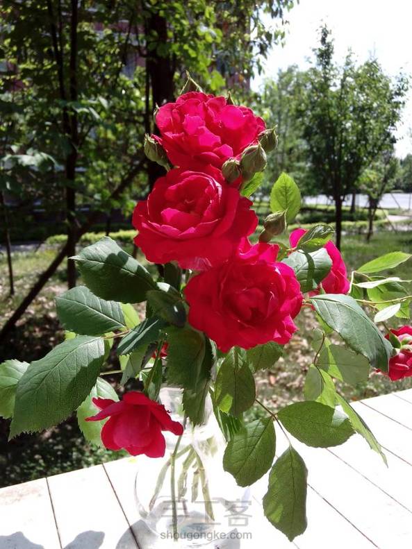 学习中……牛仔马赛克包包，做了一点小改进，满意满意，超级喜欢。自然光线实物拍摄大图细节图，最后一张文艺范儿的图，等等……中间乱入的花是什么鬼😂 第4张