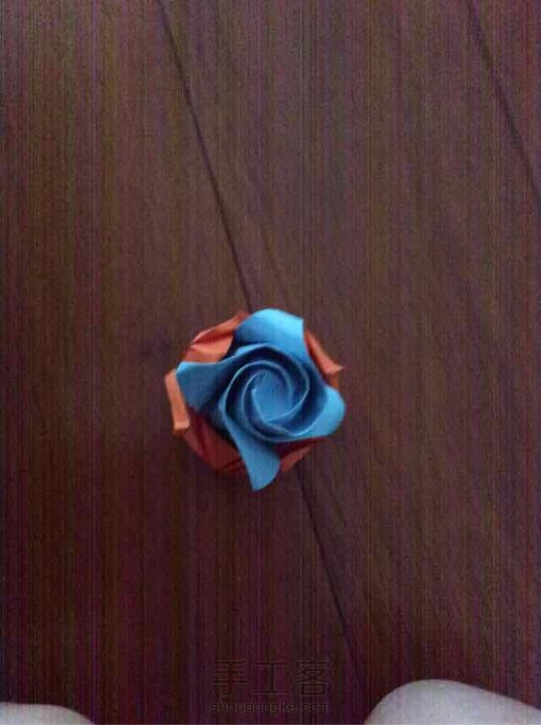 听说叫标准玫瑰