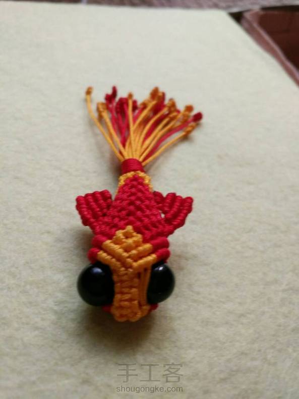 觉得小鱼萌萌哒 第1张