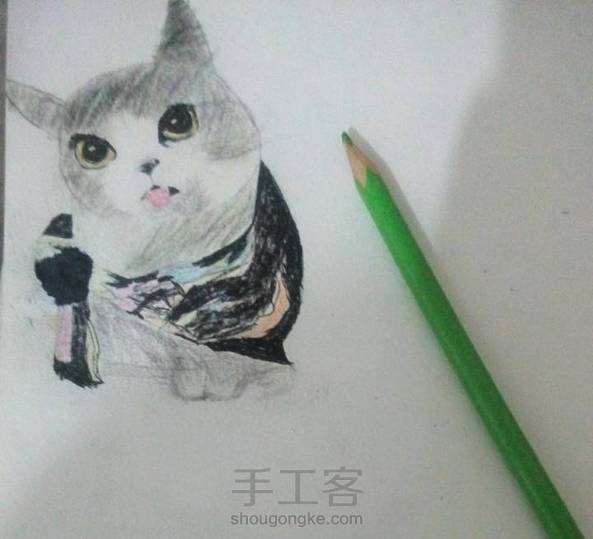 因为没有好的彩铅所以只能画的这样了