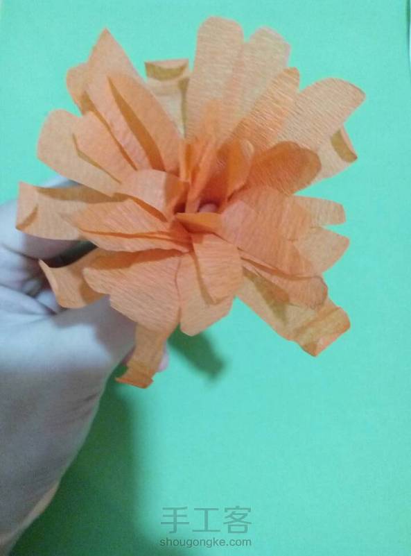 改版的简直不能看了