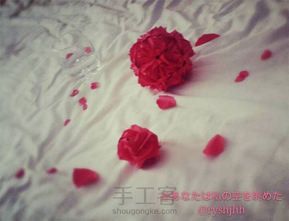 皇家玫瑰花球🌹