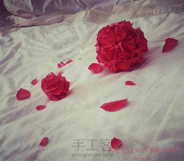 皇家玫瑰花球🌹 第2张