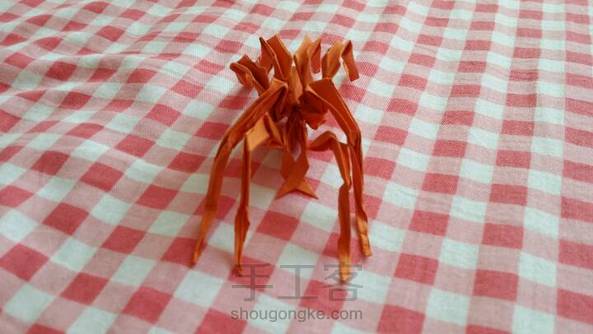 初学…… 第1张