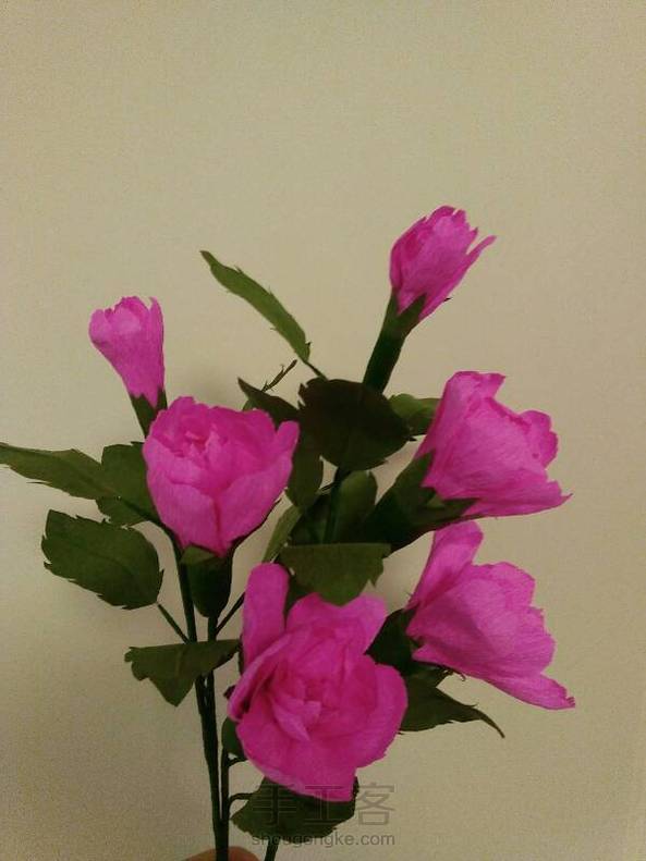 2个小时就做了这么6朵，叶子剪的不好