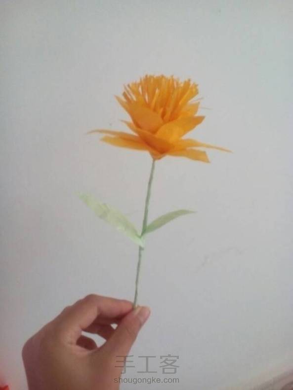 没有皱纹纸。没有胶水，。只有普通的纸和双面胶。而且绿色纸颜色浅。做起来怪怪的。。不过很开心。太阳花。属于我的星座花。。