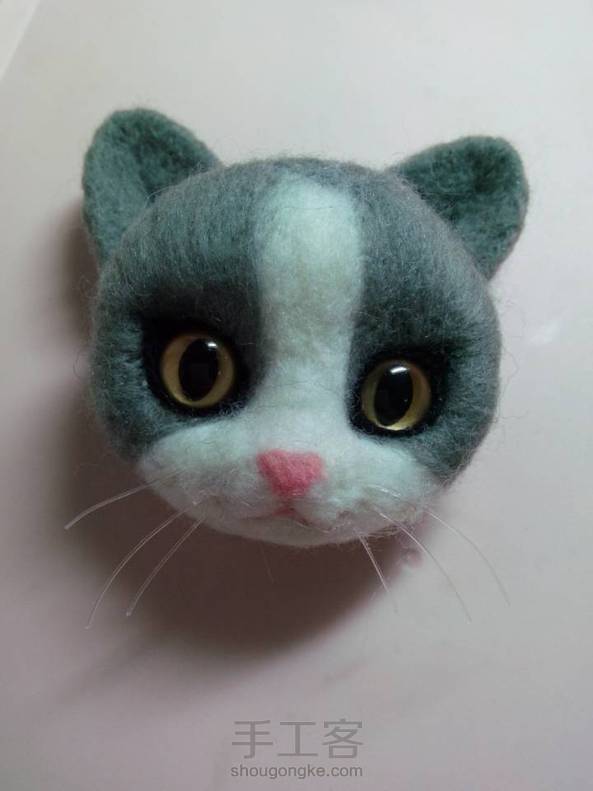 算是第一次撮猫头，感觉哪里有点怪怪的