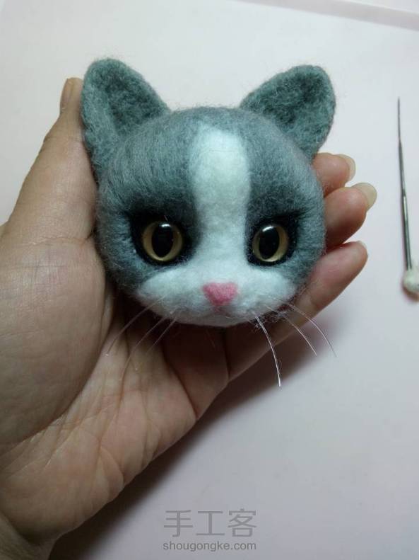 算是第一次撮猫头，感觉哪里有点怪怪的 第1张