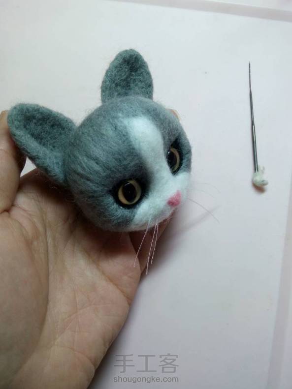 算是第一次撮猫头，感觉哪里有点怪怪的 第2张