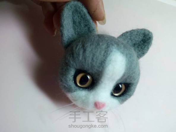 算是第一次撮猫头，感觉哪里有点怪怪的 第3张