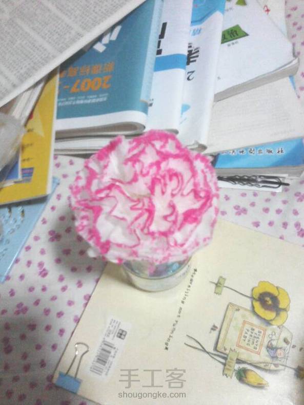 好看(｡･ω･｡)ﾉ♡，康乃馨，谢谢