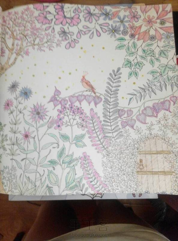 这个只是练习，所以不好看有呦，再献上秘密花园的画，我画的呦😄😄😄两张是一幅画 第1张