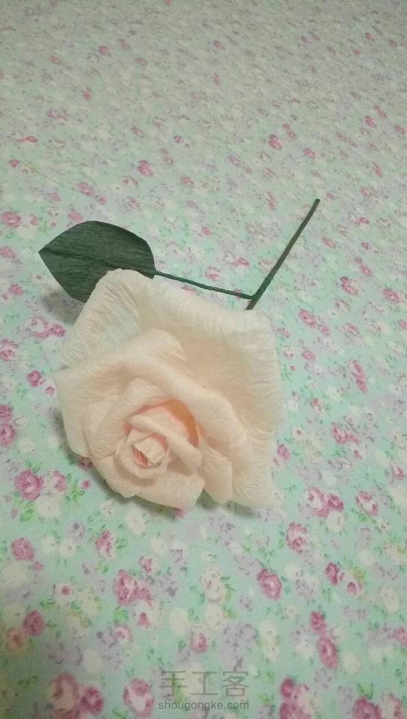 不错😊还挺成功的 第1张
