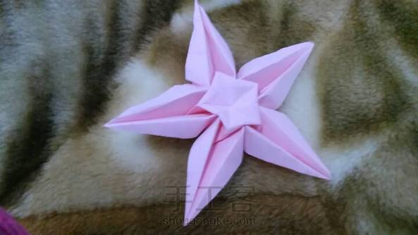 五角星花