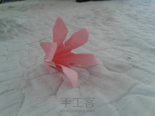 终于做好了，小了点 第1张