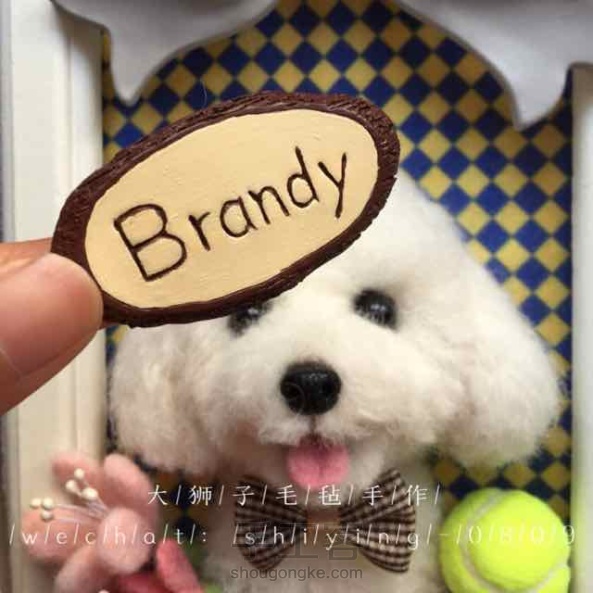 爱网球的Brandy！ 第1张