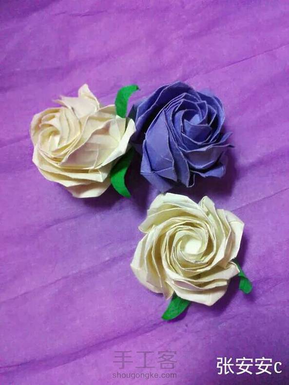 👧：安安玫瑰 第1张